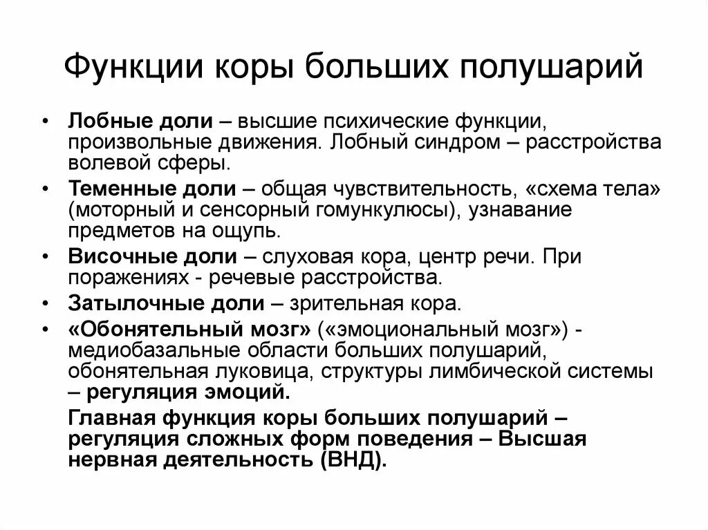 Свойство коры головного мозга. Функции коры большого мозга физиология. Функции карабольшых полушарий. Функции коры больших полушарий. Функции корье больших полушарий.