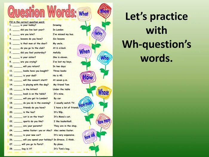 Special question words. Special вопрос. Choose a special question. Types of questions презентация. Choose a special question.