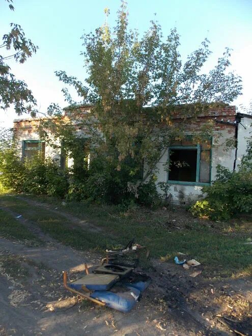Погода в сураве тамбовская область. Погода в сураве тамбовская область