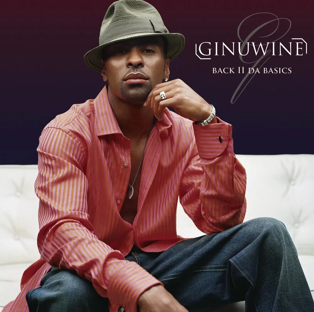 Ginuwine. Ginuwine the Bachelor  1995. Ginuwine в 1990. Ginuwine обложка альбома. Ginuwine's pony