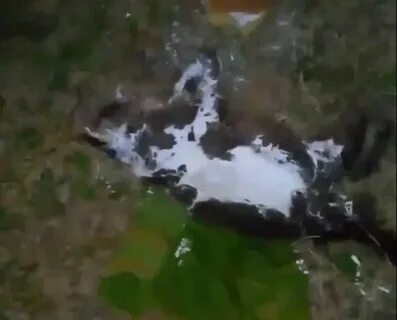 Пацан съел сердце