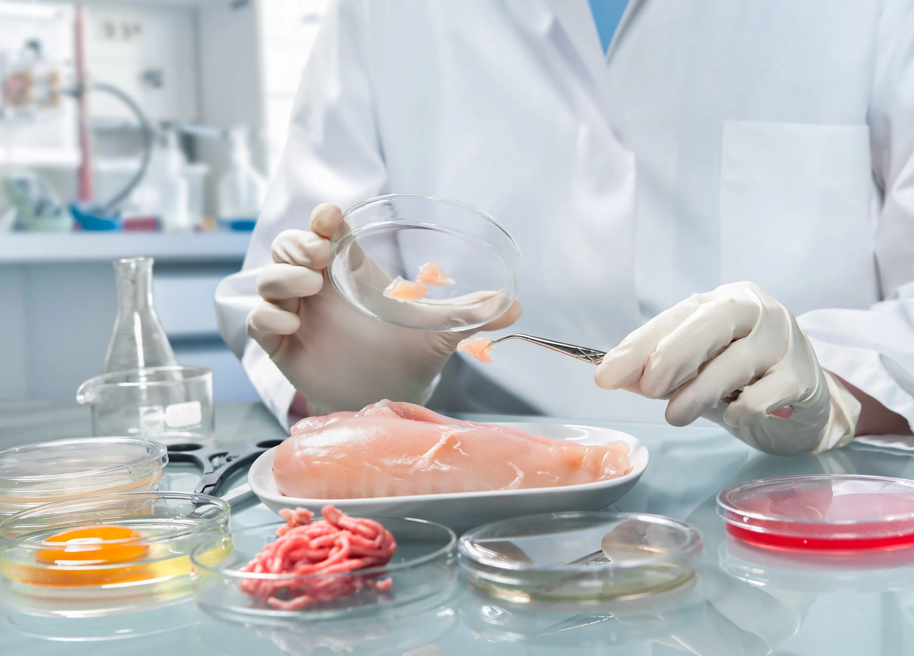Санитарная экспертиза пищевых продуктов. Санитарно микробиологическое исследование мяса и мясных продуктов. Лаборатория пищевых продуктов. Ветеринарно-санитарная экспертиза.