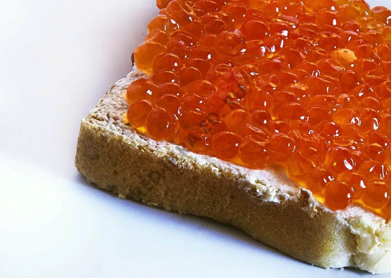 новогодние бутерброды с икрой. красные искры. оригинальная красная икра. красная икра крупным планом. икра горбуши бутерброд.