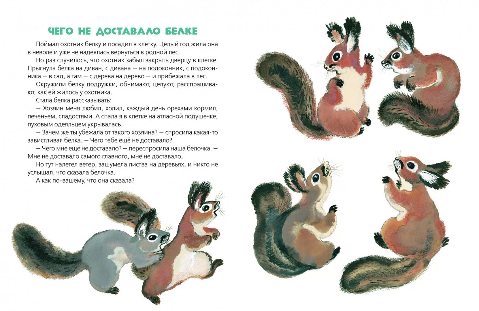 Стихотворение про белку для детей. Обыкновенная белка. Белка короткий рассказ. Маленькая сказка о животных. Проект на тему разнообразие природы.
