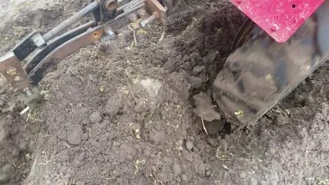 Посадка картошки мотоблоком плугом