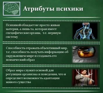 Атрибуты деятельности