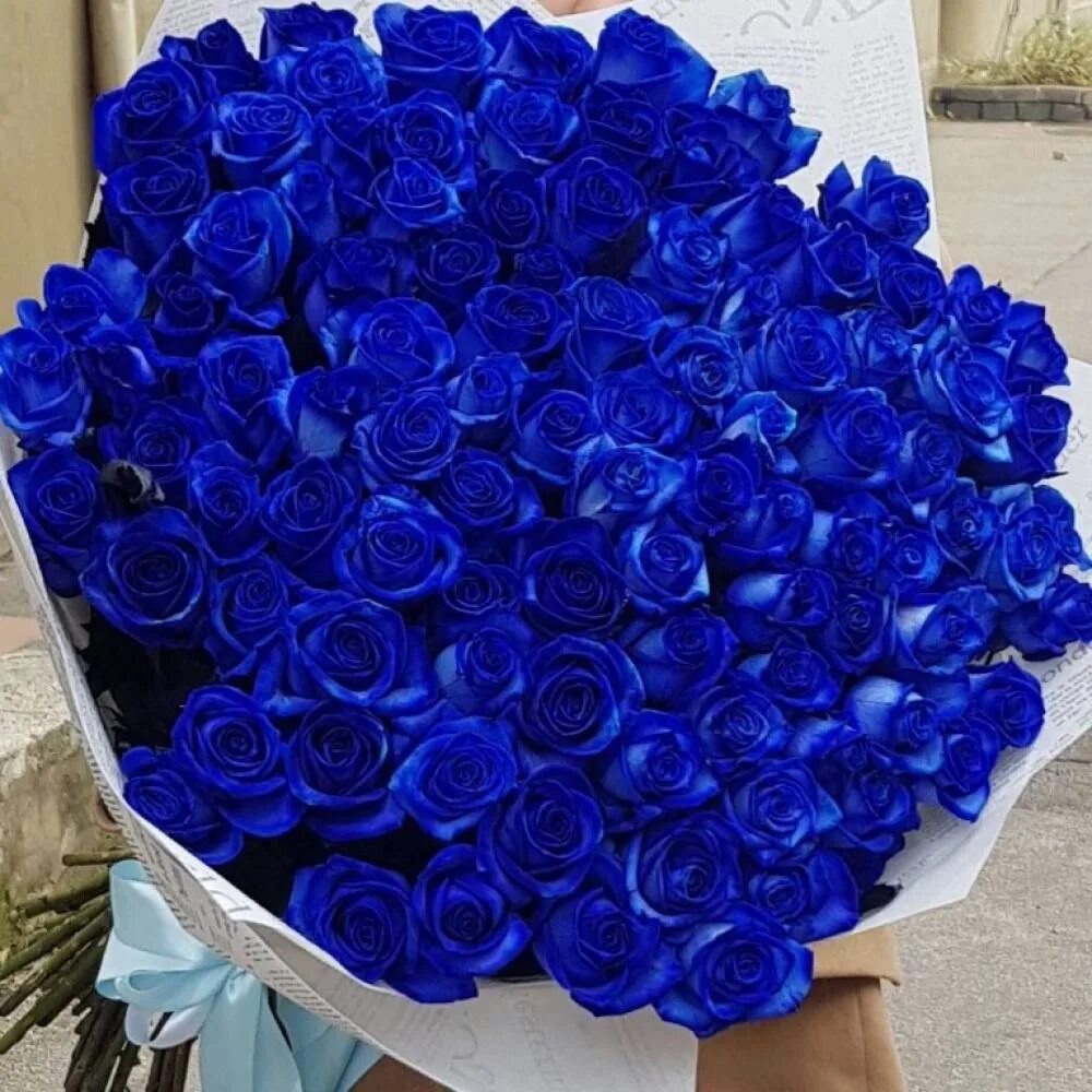 Красивые цвет из синих цветов. Голубые розы Сантори. Эквадорские синие розы.