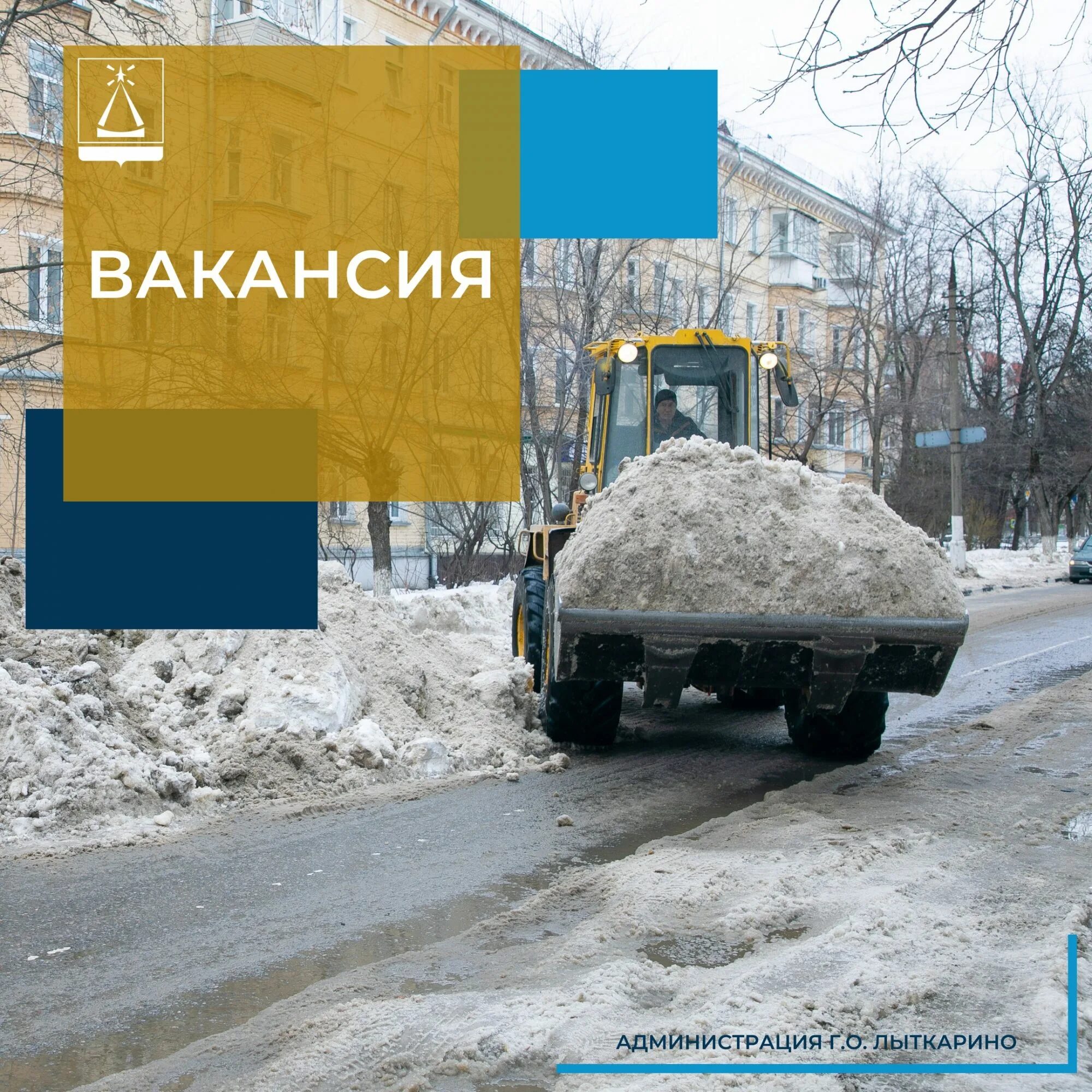 лес лыткарино фото. лыткаринский городской. лесопарк лыткарино. лесопарк лыткарино директор. лесная опушка томилинский лесопарк.