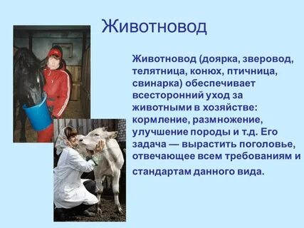Животноводов 3