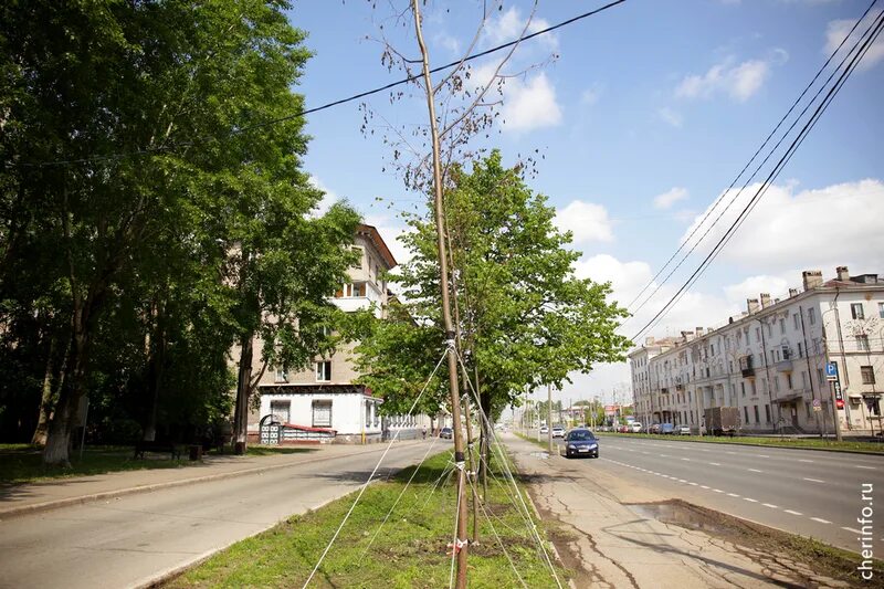 Подрядчики череповца