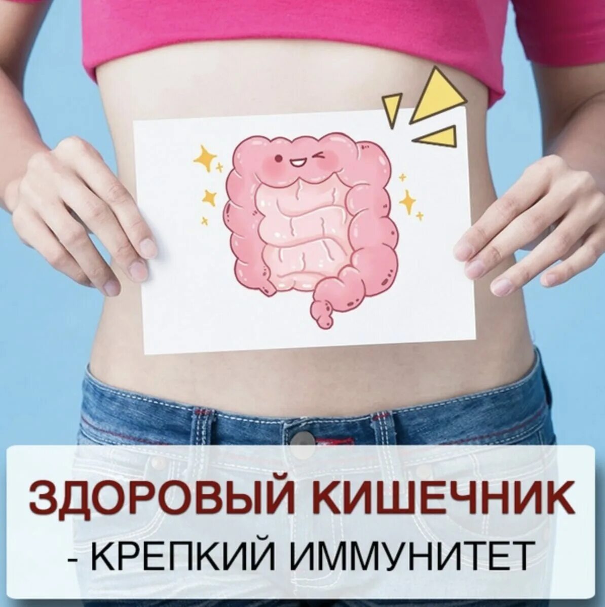 Микробиота и иммунитет человека. Иммунитет желудка. Иммунитет желудка. Здоровый кишечник. Иммунитет желудка.