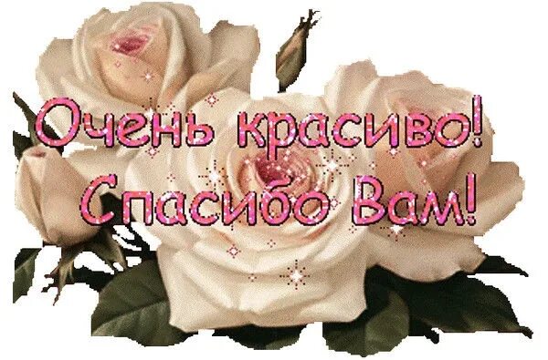 Приятно замечательно