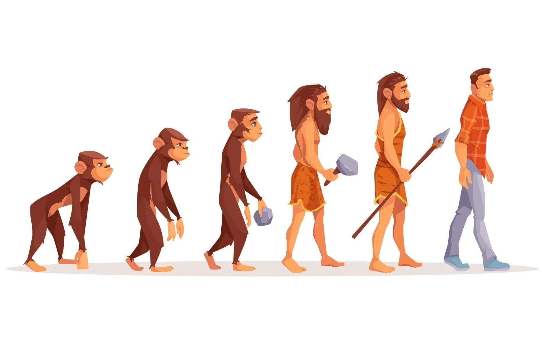 Эволюция человека хомо сапиенс. Эволюция Дарвин хомо. Эволюция человека от обезьяны. От обезьяны к человеку. Люди бывают прямые и