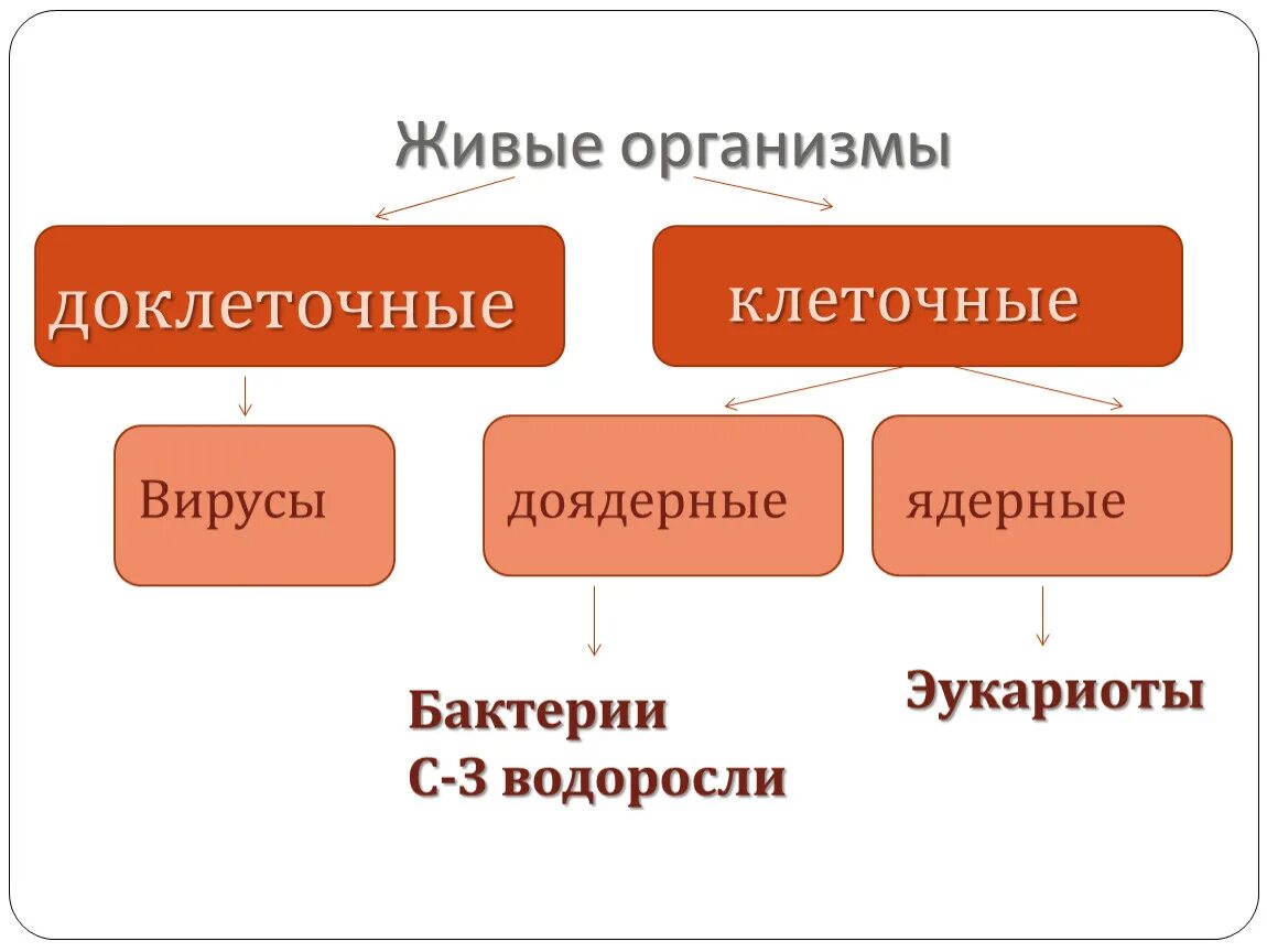 Жизненные формы клетки. Доклеточные и клеточные формы жизни. Классификация организмов клеточные и доклеточные. Доклеточные и клеточные формы жизни биология. Доклеточные формы организации живой материи.