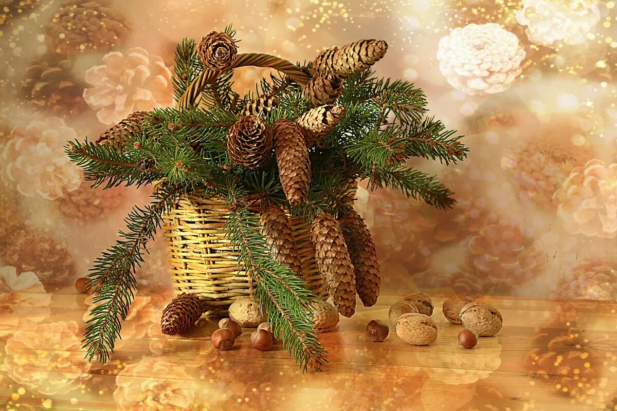 натюрморт шишки. натюрморт с ветками. натюрморт с еловыми ветками. новогодний натюрморт. кедр ветки шишки.