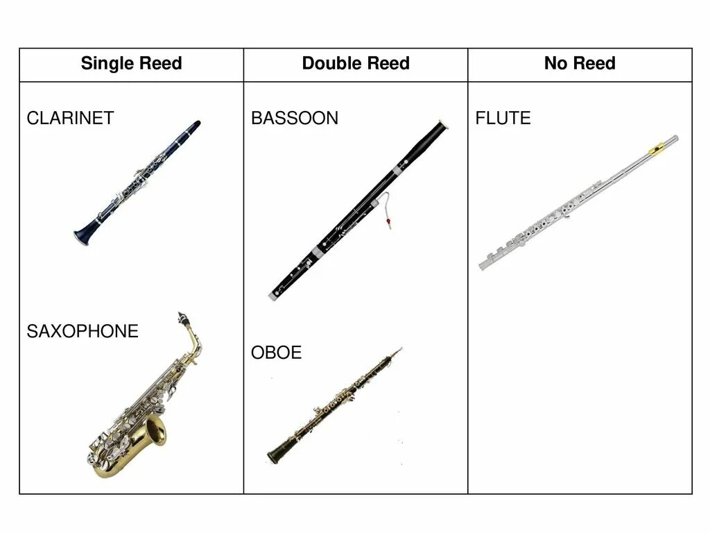 Каким инструментам относится кларнет. Фагот деревянный духовой музыкальный инструмент. Флейта гобой кларнет Фагот. Деревянные духовые инструменты симфонического оркестра Фагот. Гобой деревянный духовой инструмент.