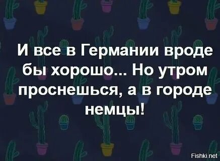 Вроде 8