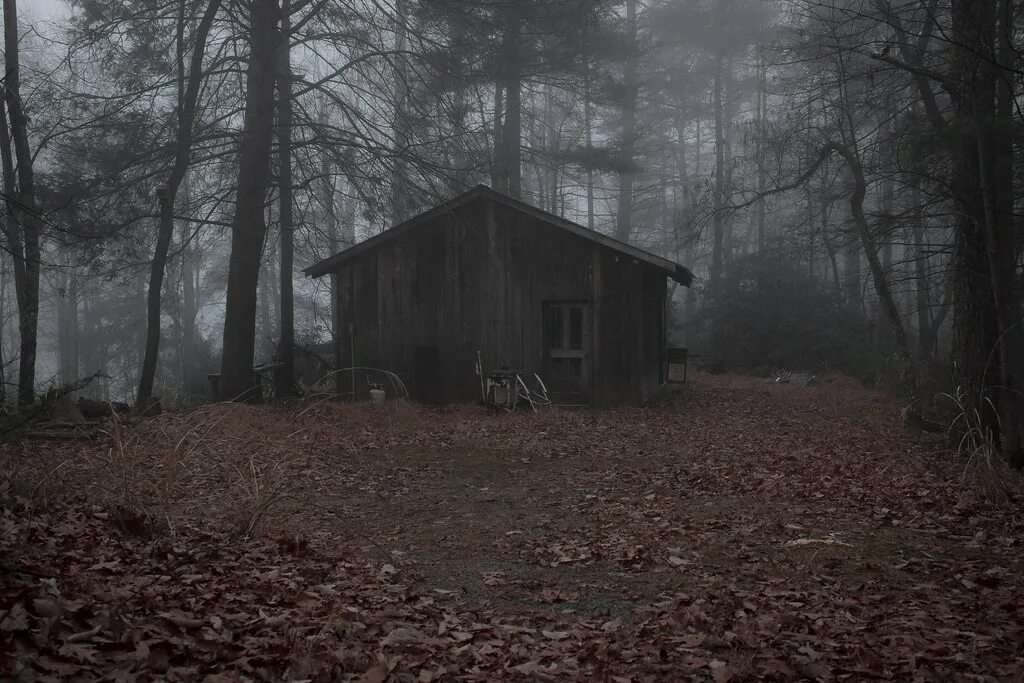 Deep in the woods. Криппи Найт. Хоррор лес. Дом в лесу ночью. Старый лес.