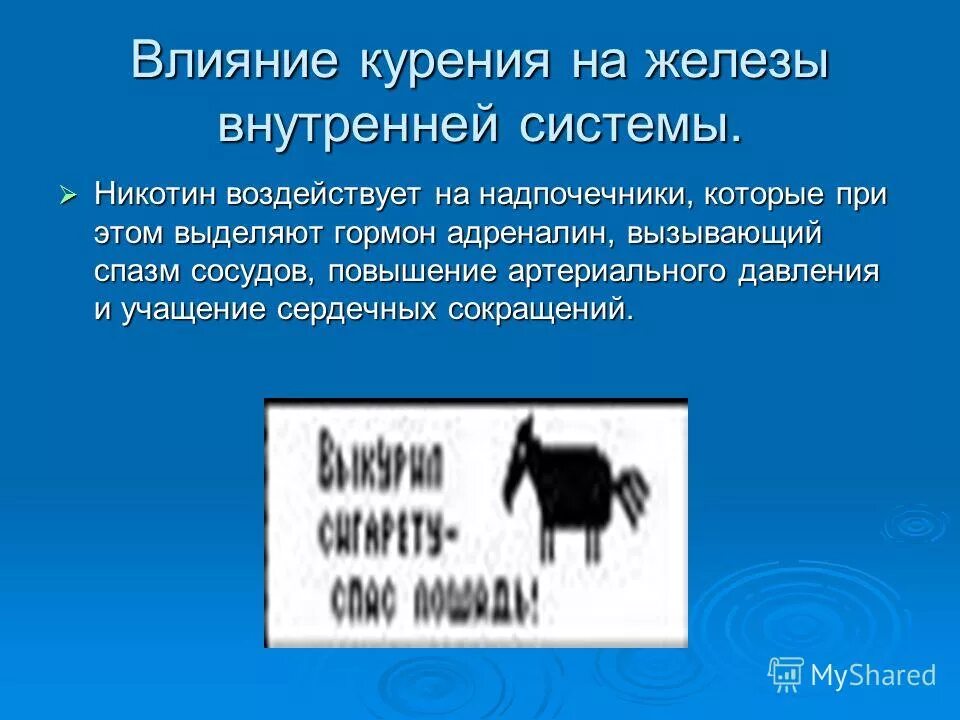 Как никотин влияет на давление. Никотин воздействует на надпочечники. влияние никотина на систему выделения. эффекты адреналина при курении.