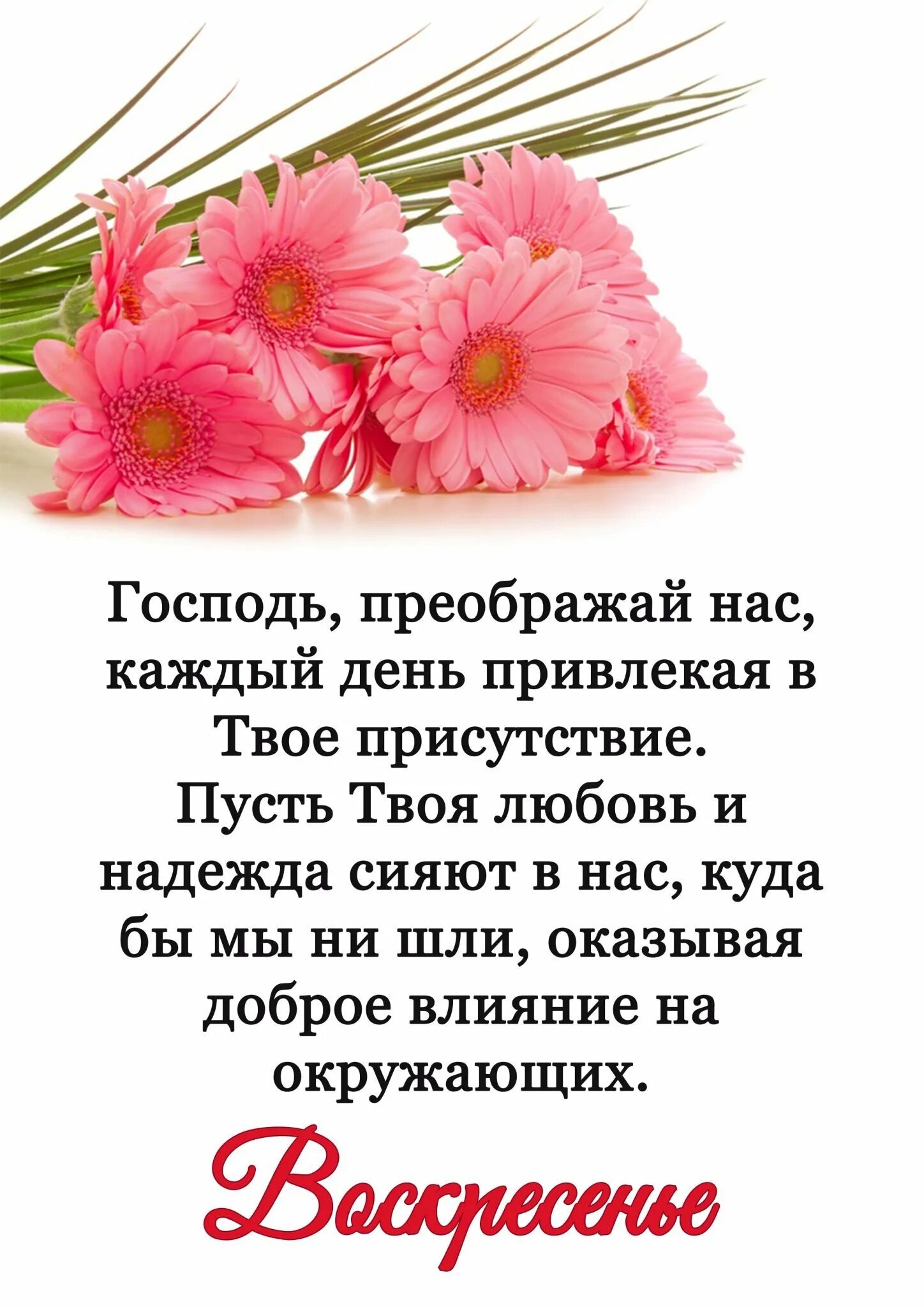 Христианские поздравления из библии. Христианские поздравления на каждый день. Христианские открытки на каждый день. Христианские пожелания на каждый. Христианские пожелания на каждый день из Библии.