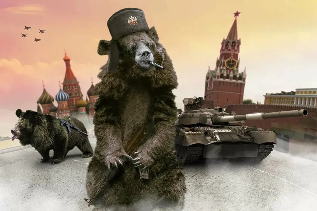 Россия придумала все. Медведь Россия. Медведь в ушанке. Медведь в военной форме. Медведь за Россию.