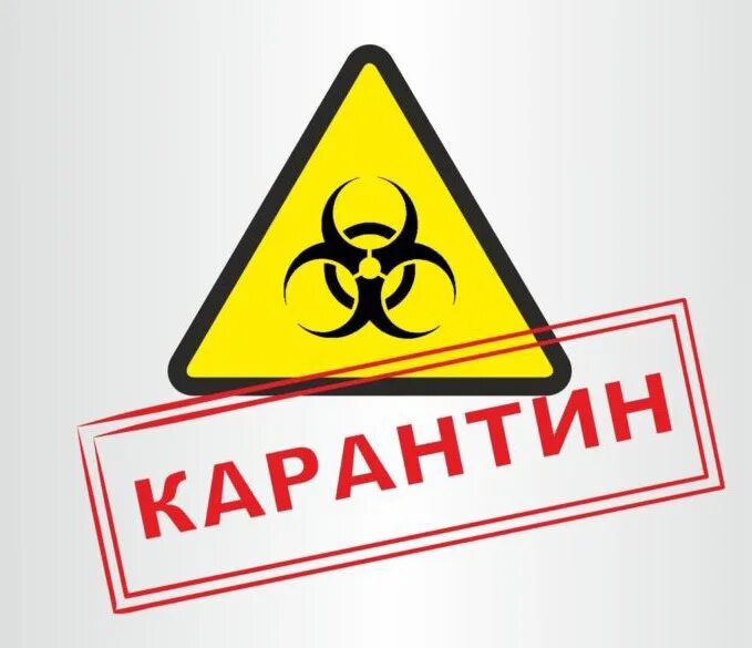 Карантин картинки. Карантин табличка. Карантин. Курантин. Где есть карантин.