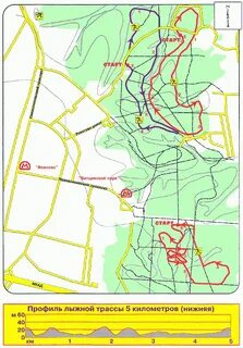 Лыжные трассы в подмосковье