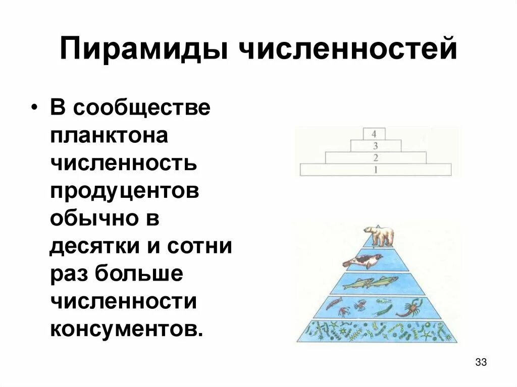 Экологическая пирамида численности. Пирамида численности. Экологические пирамиды численности биомассы энергии. Пирамиды численности используются.