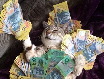Коик мани