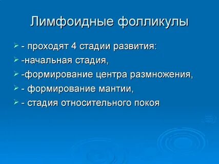 Лимфоидные фолликулы что это