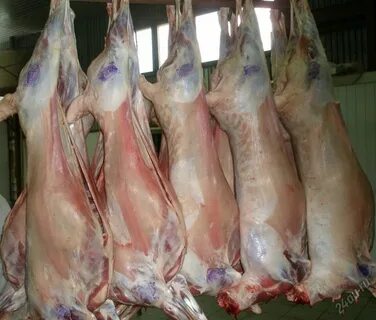 Продам свежую