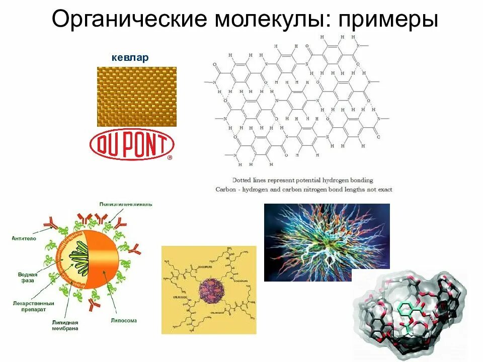 Органические молекулы. Способы изображения органических молекул. Органические молекулы примеры. Виды органических молекул.