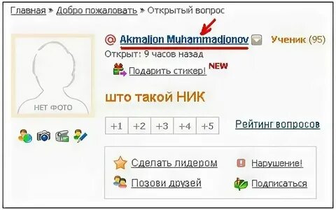 Ники каптеров