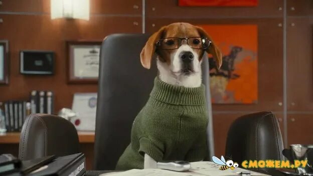 Кошки против собак дикс. Против собак 2. Против собак 2. Кошки против собак месть китти галор. Кошки против собак 2.