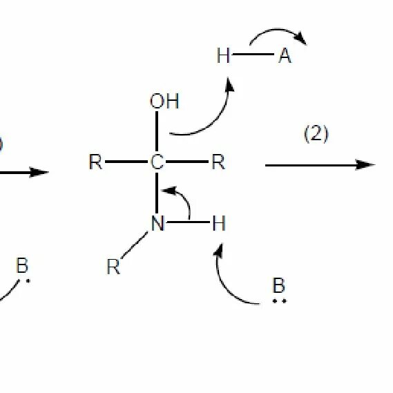 Lewis acid. Образование оснований шиффа. Urssaf во франции. Schiff base formation reaction. Bases of formation.