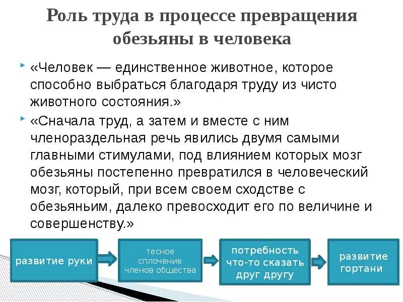 Роль труда в процессе превращения обезьяны. Роль труда в превращении обезьяны в человека. Энгельс роль труда в процессе превращения обезьяны в человека. Процесс превращения обезьяны в человека.