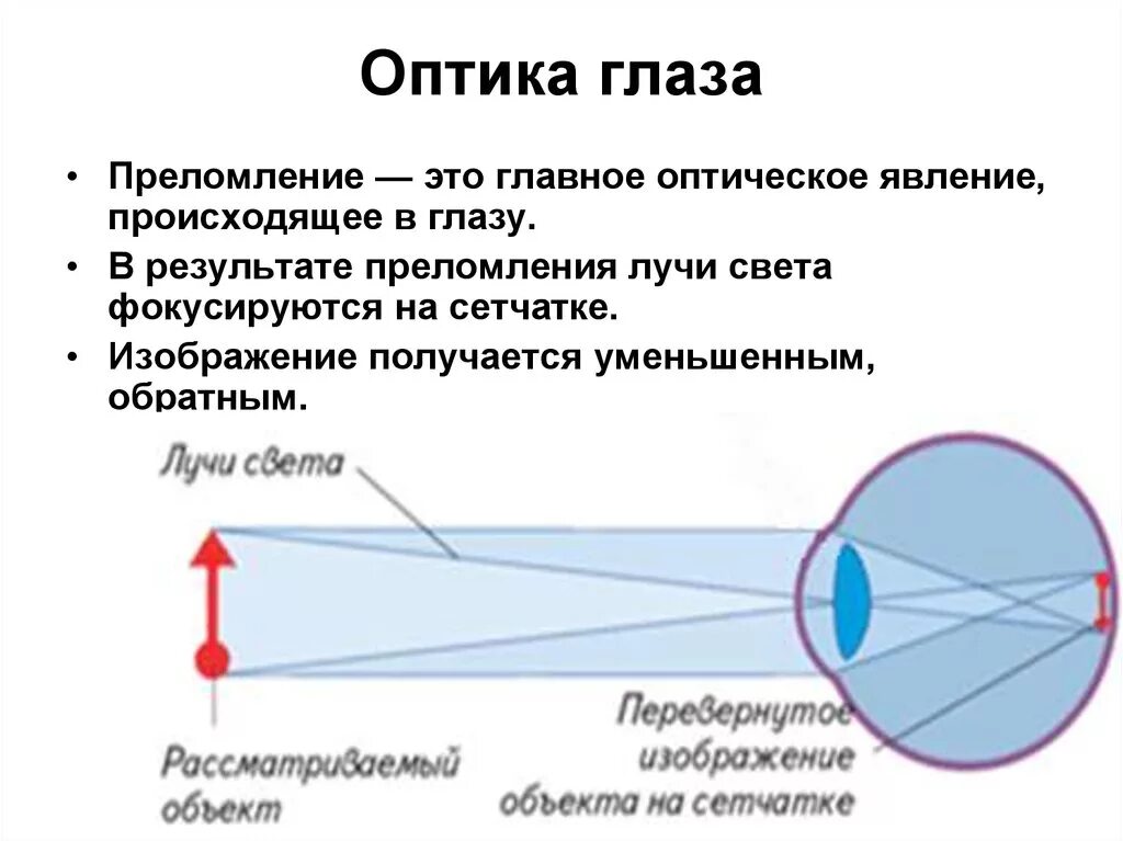 Ход лучей в оптической системе глаза. Ход лучей в глазу физика оптика. Оптическая система глаза строение глаза физика. Схема оптической системы глаза.