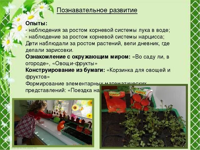 Наблюдения на огороде старшая группа. Наблюдение огород на окне в детском саду. Дневник наблюдений за растениями. Наблюдение за огородом на окне в детском саду. Дневник наблюдений огород на окне.