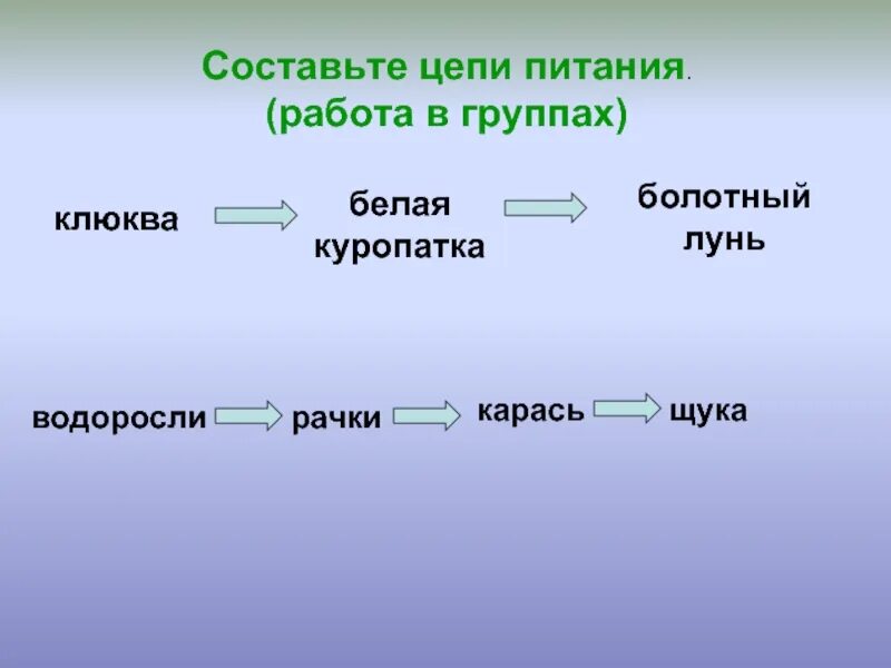 Составить цепочку