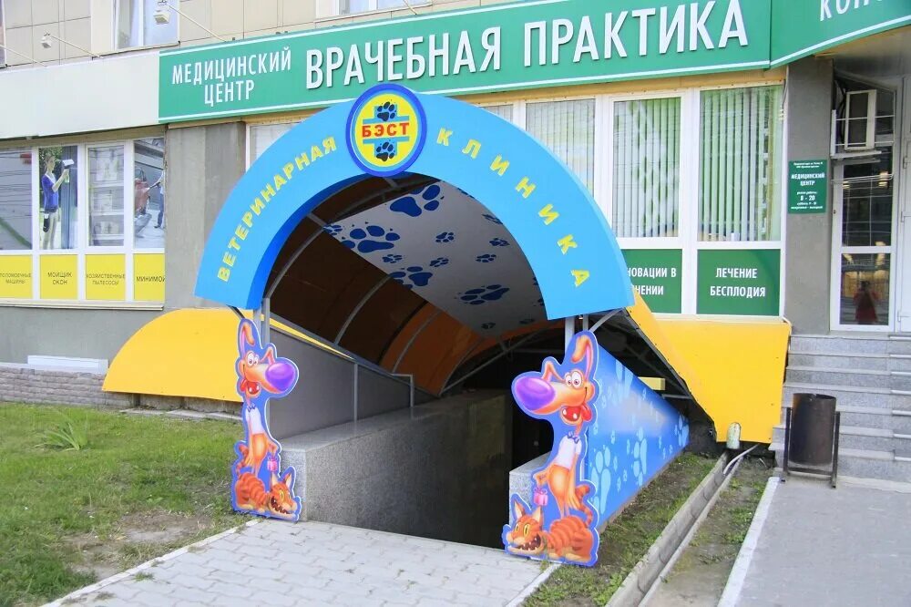 ветклиника бэст новосибирск. ветклиника бэст новосибирск. бэст ветеринарная клиника. клиника бэст новосибирск. ветклиника бэст новосибирск.