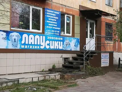 Пэт красноярск