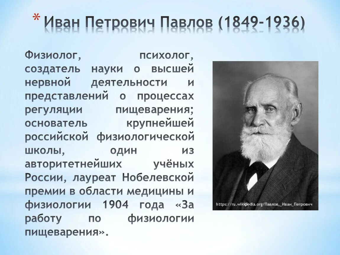 Как называется метод павлова позволивший. Теория Ивана Петровича Павлова.