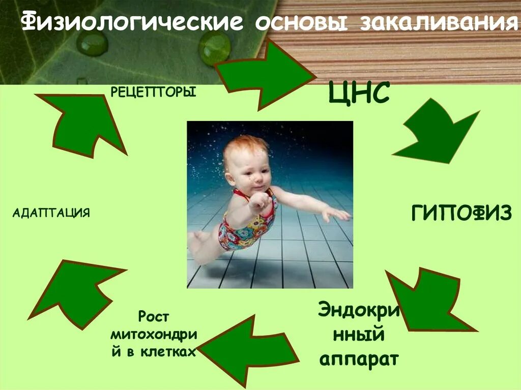 Принципы закакалевание. Закаливание воздухом постепенно увеличивать время пребывания. Основы закаливания ребенка. Закаливающие процедуры. Способы закаливания.