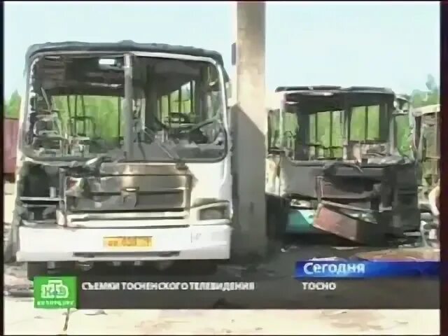Тосно еглизи автобусе. Тосно еглизи автобусе