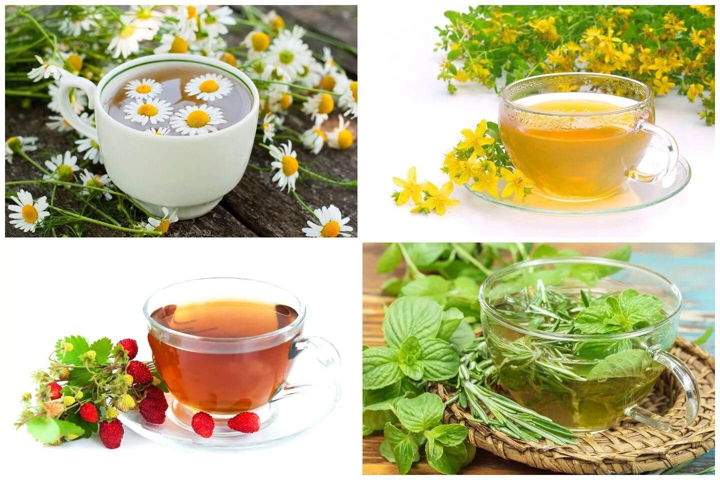Растения для заварки. Травяной чай. Чай из трав. Чай из лечебных трав. Лечебный травяной чай.