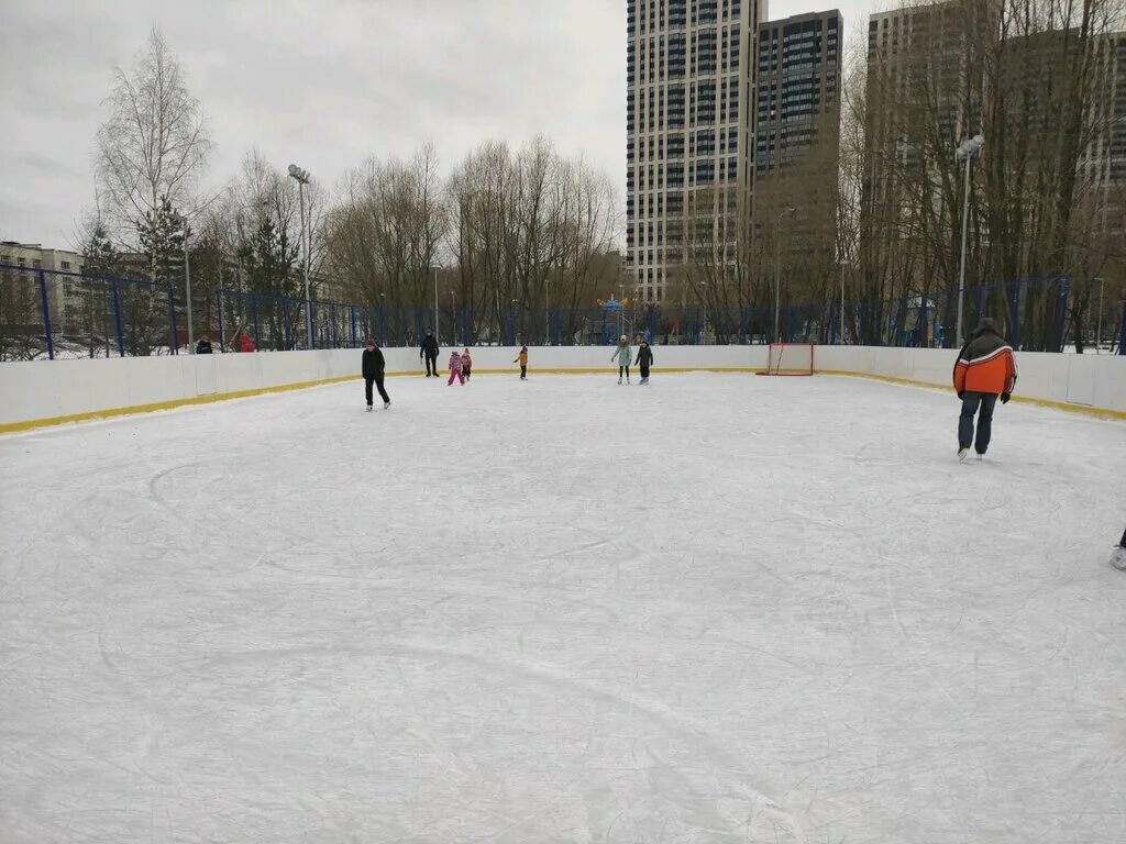 Катки москвы отзывы