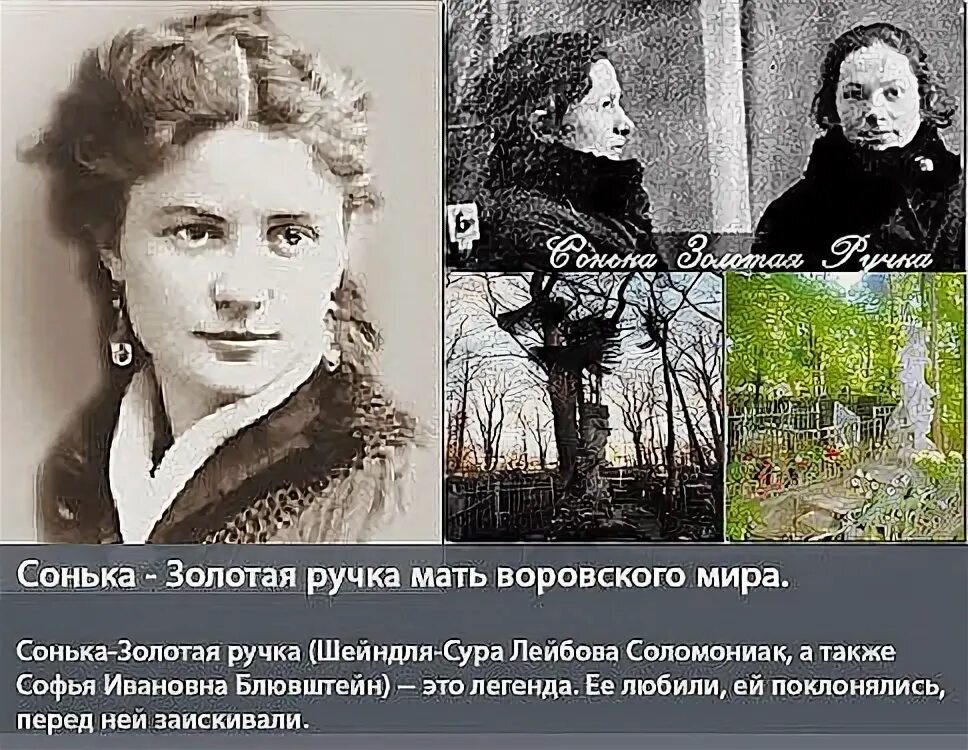 Сонька золотая ручка года. Сонька золотая ручка года. Сонька золотая ручка года. Сонька золотая ручка. Микульчина сонька золотая ручка.