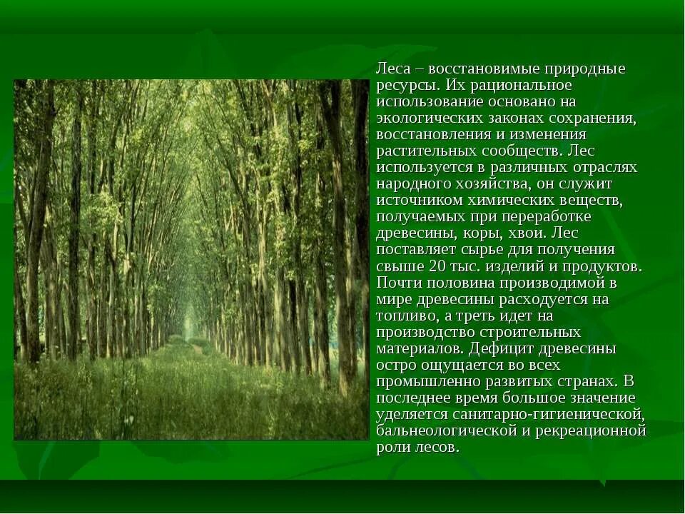 Сообщение о сообществе леса 5 класс. Презентация на тему лес. доклад про лес. сообщение про леса. сообщение на тему сохранение лесов.
