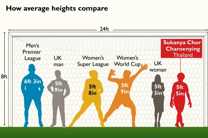 Average height. Average women height. Картинка of average height. Average height in USA. Height changes