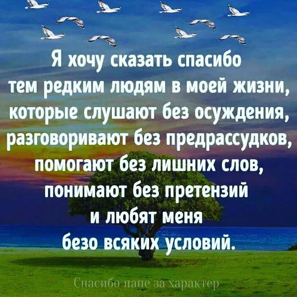 Цитаты про спасибо. Цитаты про спасибо